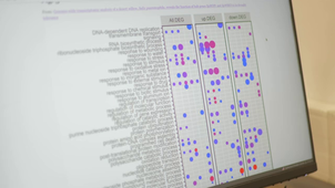 Présentation de la plateforme de bioinformatique du département Biosciences