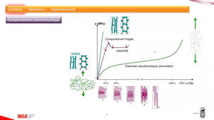 GMPPA-4-CS-S2_41_notations