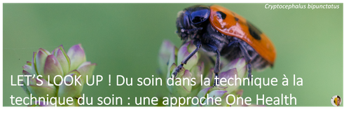 Séminaire Let's look up! n°5 : Vulnérabilité et fragilité : des socio-écosystèmes en danger aux techniques défaillantes