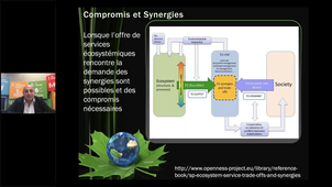 Des Services Ecosystémiques au Développement Durable par Anthony Lehmann (7 mai 2020)